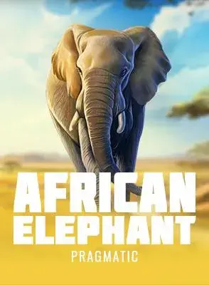 african-elephant.webp